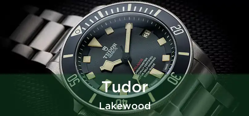  Tudor Lakewood